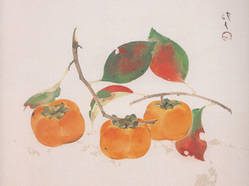 川端龍子「三柿」