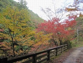 島ノ川渓谷