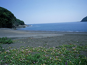 小矢井賀の浜