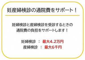 03：妊産婦検診