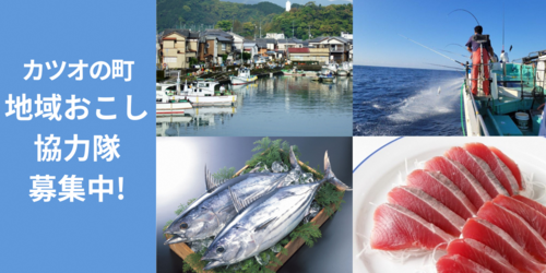 シン・鰹