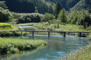 高樋沈下橋（大野見地区）