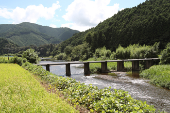 長野沈下橋（大野見地区）