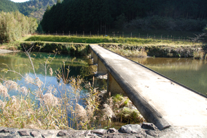 高樋沈下橋