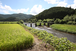 長野沈下橋