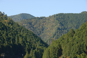 島ノ川の山並み