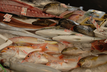 久礼大正町市場に並ぶ魚