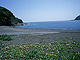 小矢井賀の浜 
